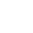 TrueNorth Capital - VPS